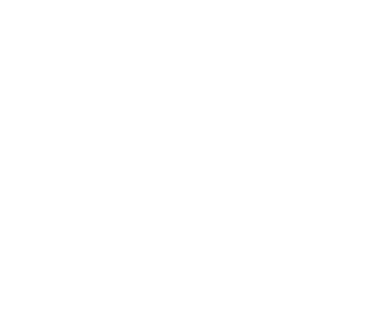 Offizielles Ziya-Icon