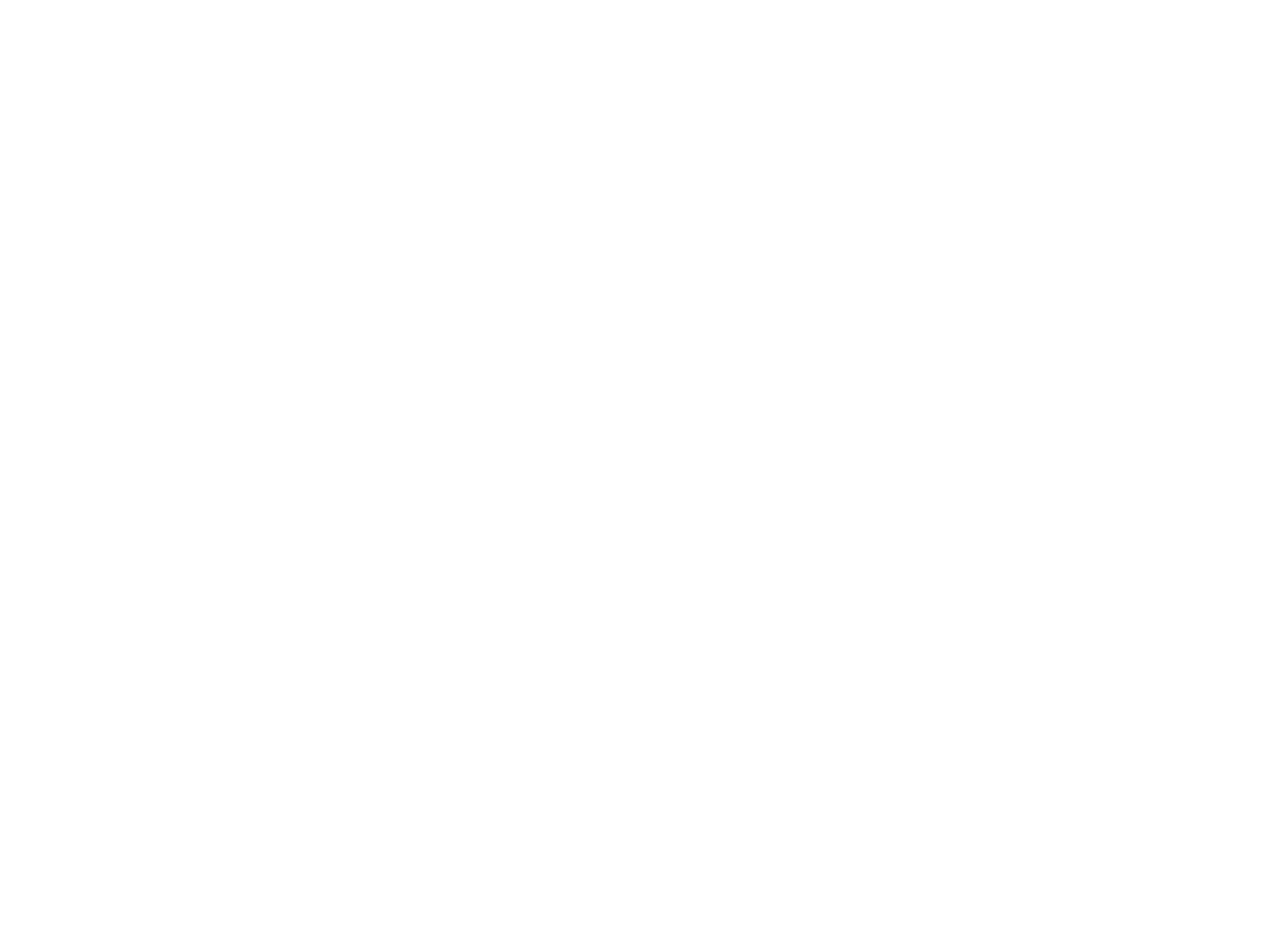 Ziya Media Social Media Agentur Frankfurt Logo